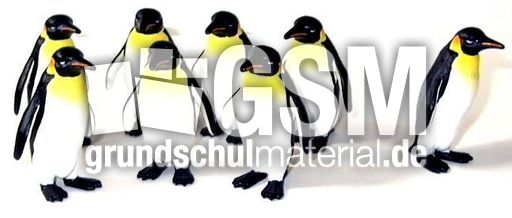 Pingu8-1.JPG